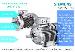 Động cơ điện Siemens – Motor Siemens giá tốt nhất