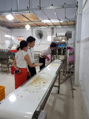 Dây chuyền bóc vỏ tỏi, hành tự động của tech garden