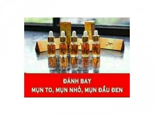 Giá Sock Toàn Quốc