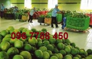 Bán rổ công nghiệp-rổ nhựa có bánh xe-rổ nhựa chất lượng.