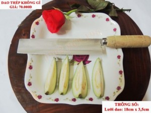 Dao nhỏ thép không gỉ