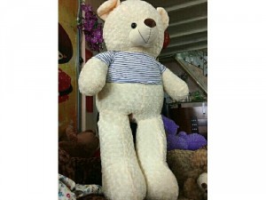 Gấu Teddy giá rẻ