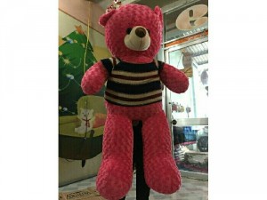 Gấu Teddy giá rẻ