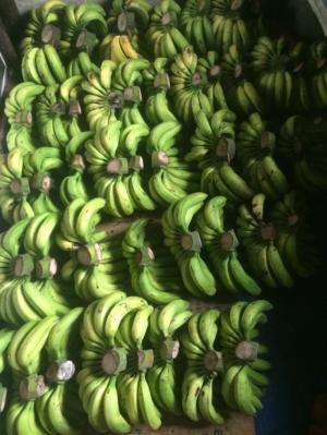 Chuối laba Đà Lạt