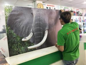 Xưởng tranh phẳng trang trí văn phòng khởi nghiệp