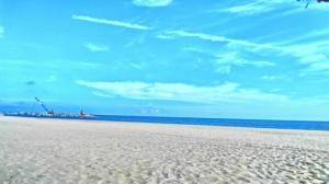 Đầu tư sinh lợi với căn hộ biển Ocean Vista Phan Thiết