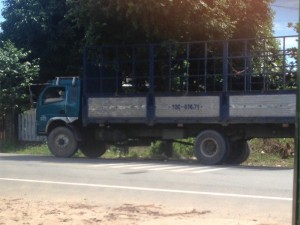 Xe tải cũ rẻ đời cao
