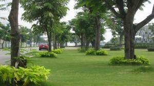 Bán Đất Dự Án Trên Đường Quản Lộ Phụng Hiệp Cà Mau