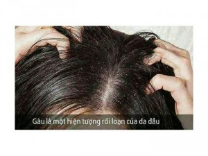 Túi lọc gội đầu thiên nhiên