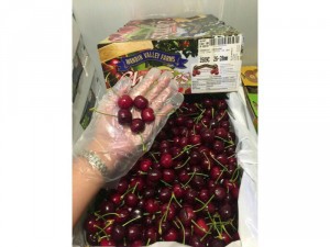Cherry Úc hiệu Wandin size 26-28