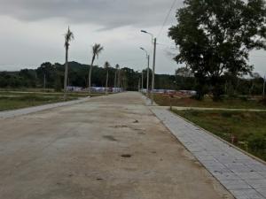 dự án đất