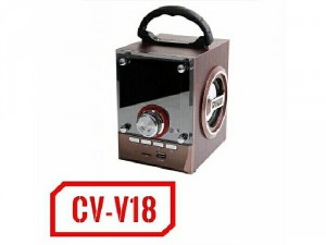 Loa bluetooth thùng gỗ FM CV - V18