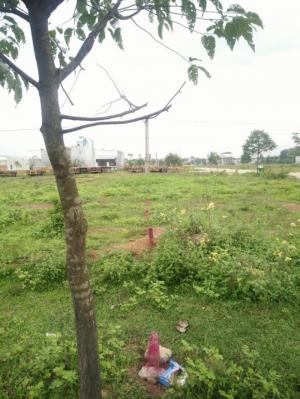 Tôi cần bán nhà trọ 16 phòng và đất tách sổ 300m2 455 triệu