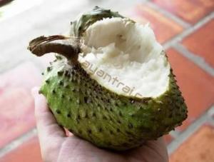 Trái mãng cầu xiêm ngọt không hạt