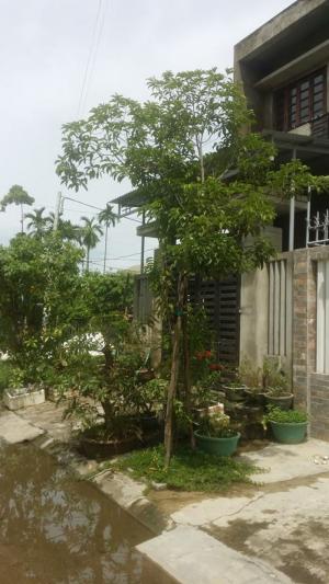 Đất mặt tiền Tùy Lý Vương. Huế
