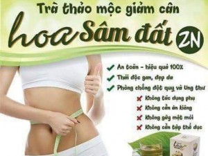 Trà thảo mộc giảm cân Hoa Sâm Đất