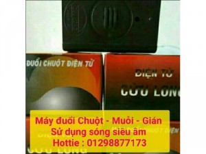Máy đuổi chuột điện tử sóng siêu âm