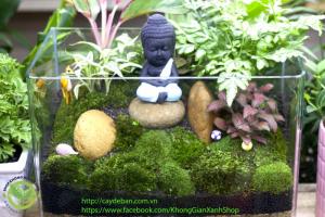 Terrarium-Phong thủy Phật thiền