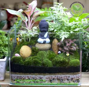 Terrarium-Phong thủy Phật thiền