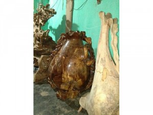 lục bình nhỏ