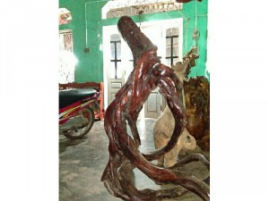 lục bình nhỏ
