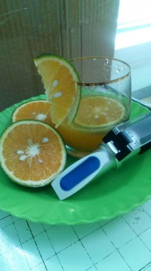 Máy đo độ Ngọt (brix) của trái cây.