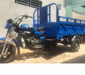 Xe ba bánh Hoàng Long T&T FUSHIDA. Xe thường không ben 9