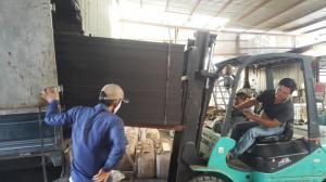 Ván cốp pha phủ phim dùng trong xây dựng ván A1
