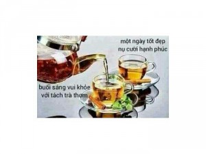 Trà giảm cân vy&tea