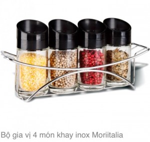 Bộ gia vị 4 món khay inox Moriitalia