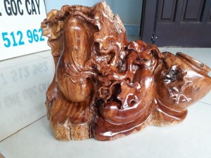 Bầu bí gỗ
