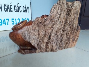 Bầu bí gỗ