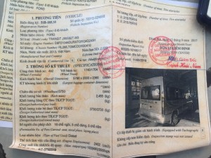 Xe 1 cặp Ford transit đời mới giá rẻ