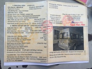 Xe 1 cặp Ford transit đời mới giá rẻ