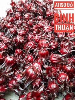 Địa điểm bán hoa Atiso Đỏ giá rẻ tại Hồ Chí Minh