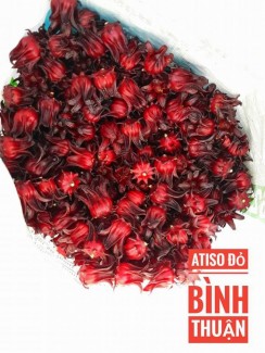 Địa điểm bán hoa Atiso Đỏ giá rẻ tại Hồ Chí Minh