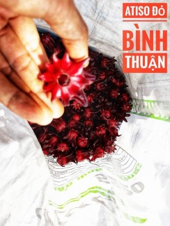 Địa điểm bán hoa Atiso Đỏ giá rẻ tại Hồ Chí Minh