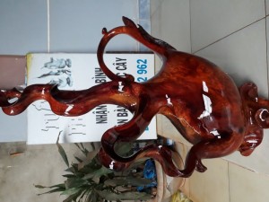 Đồ như hình