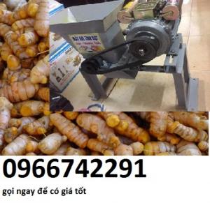 Máy xay nghiền nghệ tươi mini 0966742291 Thiên Đăng