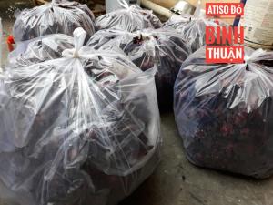 Atiso đỏ/bụp giấm tại hồ chí minh