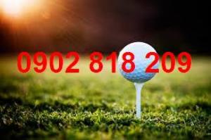Bóng golf,banh golf giá rẻ tại hà nội