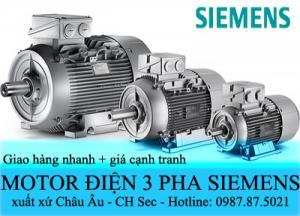 Động cơ điện 3 pha Siemens Châu Âu Giá Tốt
