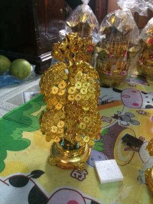 Cây tiền