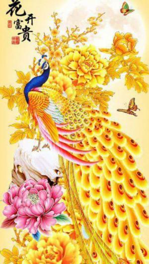 Tranh kính cap cấp