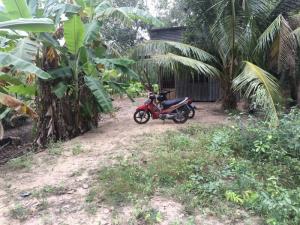 Đất Nông Nghiệp Dt 4000m2 Tại Xã Long Thới Chợ Lách Bến Tre