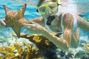Tour bơi lặn snock Nha Trang