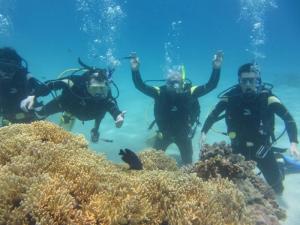 Tour bơi lặn snock Nha Trang