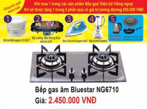 Bếp ga âm BLUESTAR NG-6710