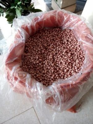Mua Lạc Nhân số lượng lớn