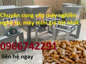 Máy Xay Nghệ Tươi - uy tín, chất lượng - thiendangvn.com